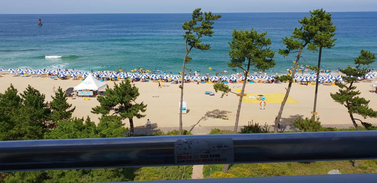 Time Motel Gangneung Exterior foto